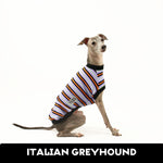 Monster Mash Italian Greyhound Sleeveless Hound-Tee