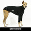 Night Sky Greyhound Tweater