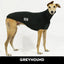 Night Sky Greyhound Sleeveless Tweater