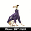 Octopus Italian Greyhound Tweater