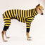 Odlaw Greyhound Long Johns