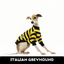 Odlaw Italian Greyhound Long Sleeve Hound-Tee