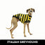 Odlaw Italian Greyhound Sleeveless Hound-Tee