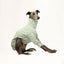 Olive You Whippet Quilted Sweater