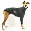 Open Road Greyhound Sweater