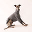 Open Road Whippet Sweater