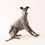 Open Road 2.0 Whippet Sweater