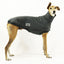 Open Road Greyhound Sleeveless Sweater