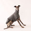Open Road Whippet Sleeveless Sweater