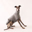 Open Road 2.0 Whippet Sleeveless Sweater
