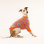Passion Pop Italian Greyhound Long Sleeve Hound-Tee