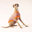 Passion Pop Italian Greyhound Sleeveless Hound-Tee