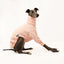 Peach Pawfect Whippet Quilted Sweater