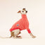 Peachy Keen Iggy Long Sleeve Sweater