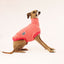 Peachy Keen Iggy Sleeveless Sweater