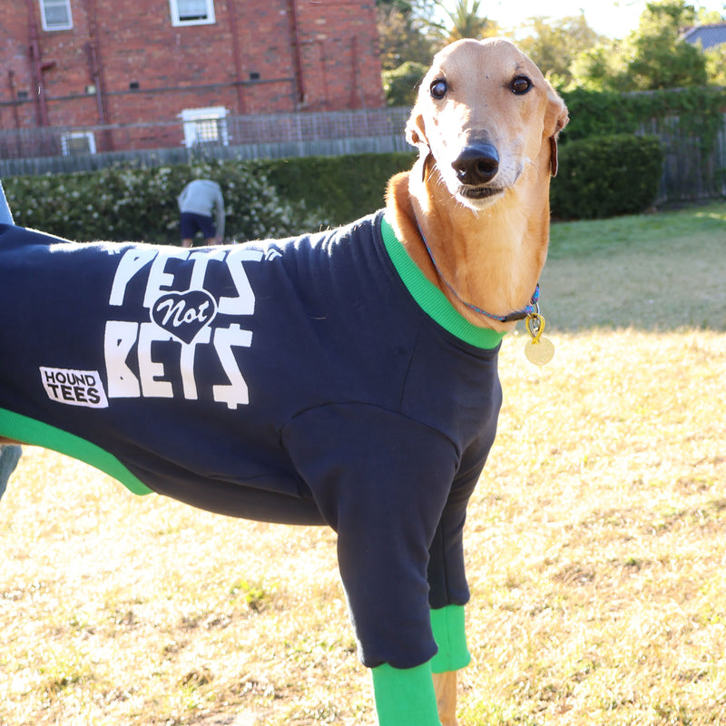 Pets Not Bets Navy Greyhound Sweater