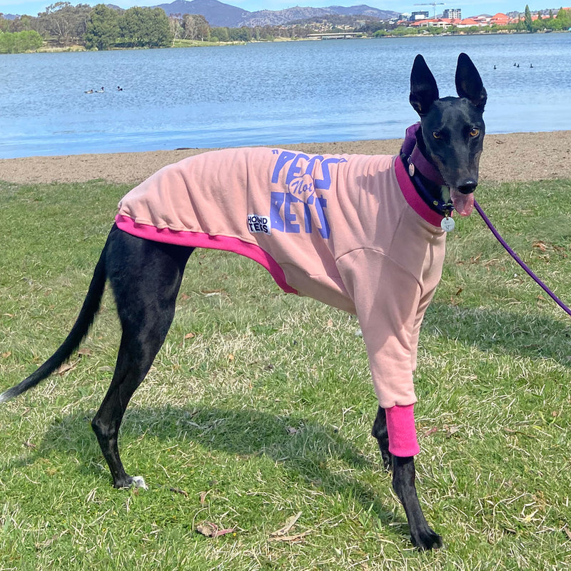 Pets Not Bets Pink Greyhound Sweater