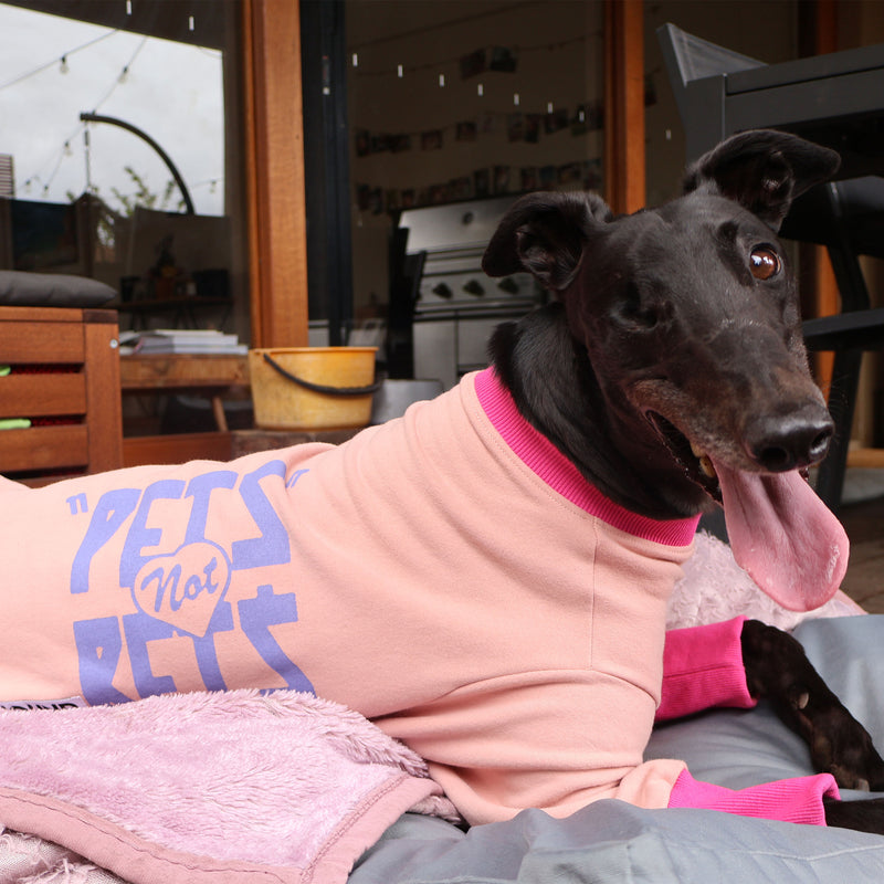 Pets Not Bets Pink WHIPPET Sweater