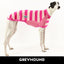 Pink Flamingo Greyhound Sleeveless Hound-Tee