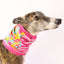 Pink Houndini Snood