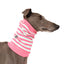 Pinky Whippet Fleecey Snood