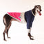 The Pink Tradee Greyhound Sweater