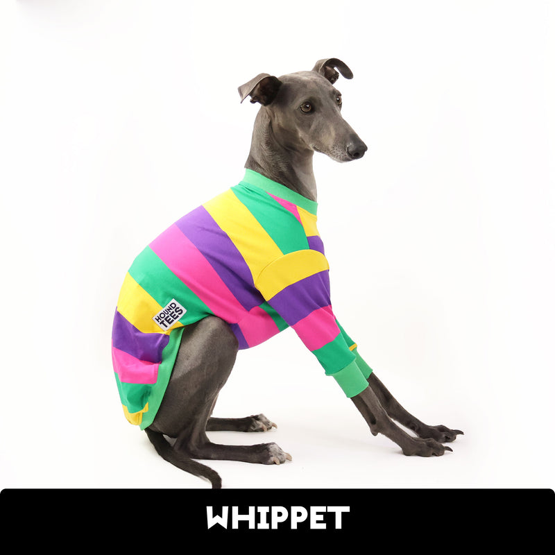 Pool Noodle Whippet Long Sleeve Hound-Tee