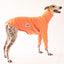 Popcorn Greyhound Quilted Sweater
