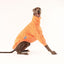 Popcorn Whippet Quilted Sweater