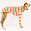 Prawn Cocktail Greyhound Long Sleeve Hound-Tee