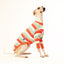 Prawn Cocktail Whippet Long Sleeve Hound-Tee