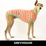 Pumpkin Spice Greyhound Sleeveless Hound-Tee