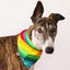 Rainbow Bandana