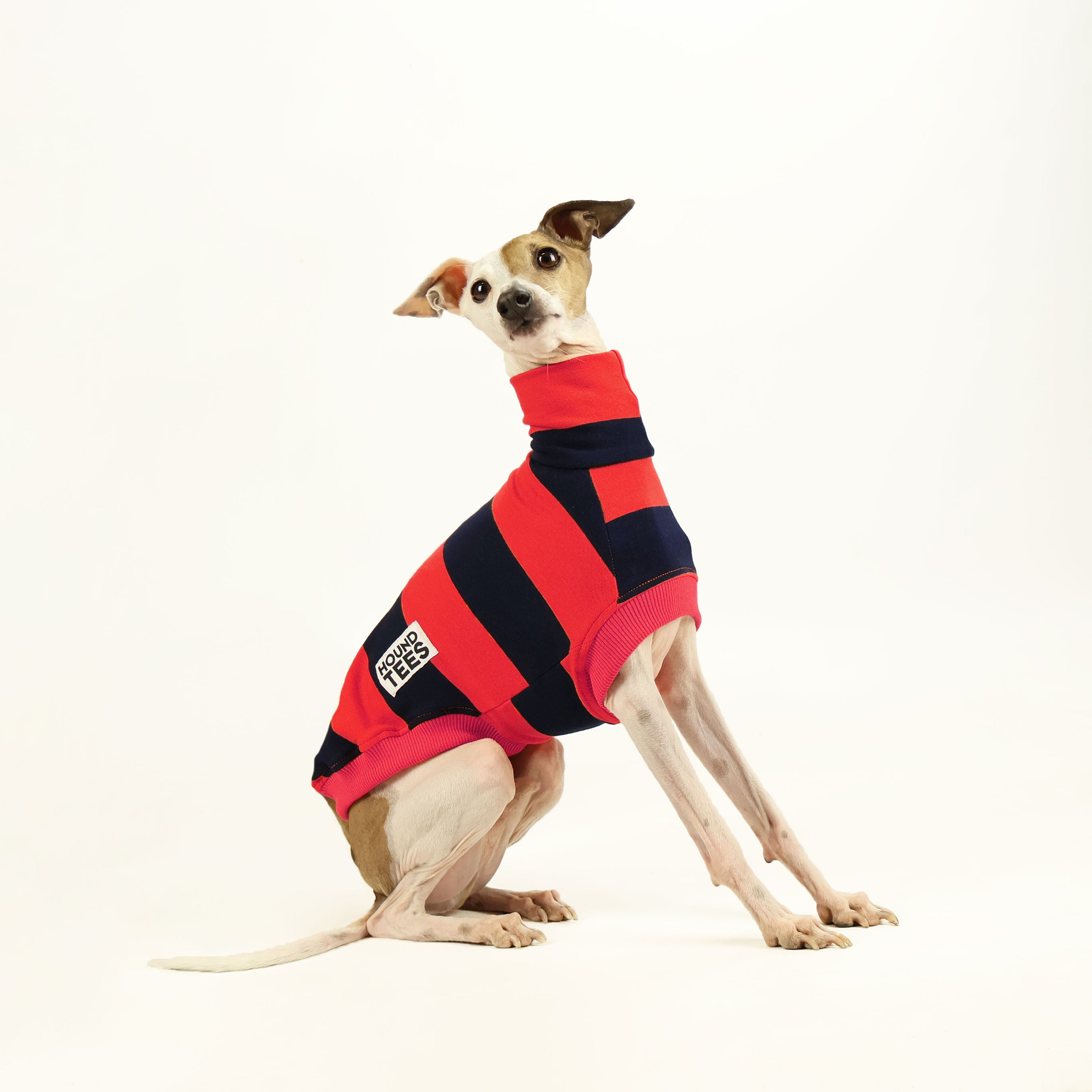 Italian Greyhound Sleeveless Sweater - Red Rugby | Hound-Tees – Hound-Tees®