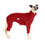 Red Ripper Whippet Snootsuit