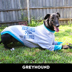 Rescued Not Retired Grey Greyhound Sweater