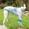 Rescued Not Retired Grey Greyhound Sweater