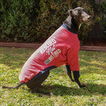 Rescued Not Retired Maroon WHIPPET Sweater