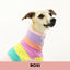 Roxi 2.0 Greyhound Long Sleeve Tweater