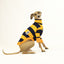 Rugbee Italian Greyhound Long Sleeve Tweater