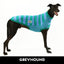Run Free Greyhound Sleeveless Hound-Tee