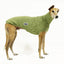 Aussie Legend Greyhound Sleeveless Tweater
