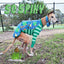SBSC Whippet Long Sleeve Hound-Tee