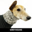 S'Mores Greyhound Knit Noodle