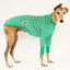 Salad Bar Greyhound Long Sleeve Hound-Tee
