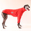 Salsa Greyhound Sweater