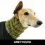 Scout Greyhound Knit Noodle