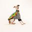 Semaphore Italian Greyhound Long Sleeve Hound-Tee
