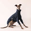 Siesta Whippet Sweater