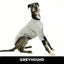 Skipping Stones Greyhound Long Sleeve Hound-Tee